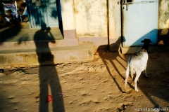 Guinee 2011