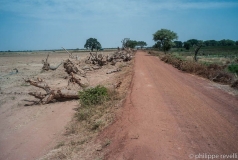 Mali 2011