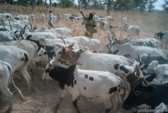 Mali 2011
