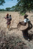 Mali 2011