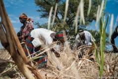 Mali 2011