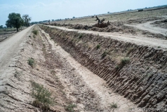 Mali 2011