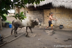 Philippines 2019