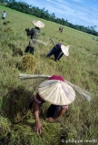 Philippines 2012